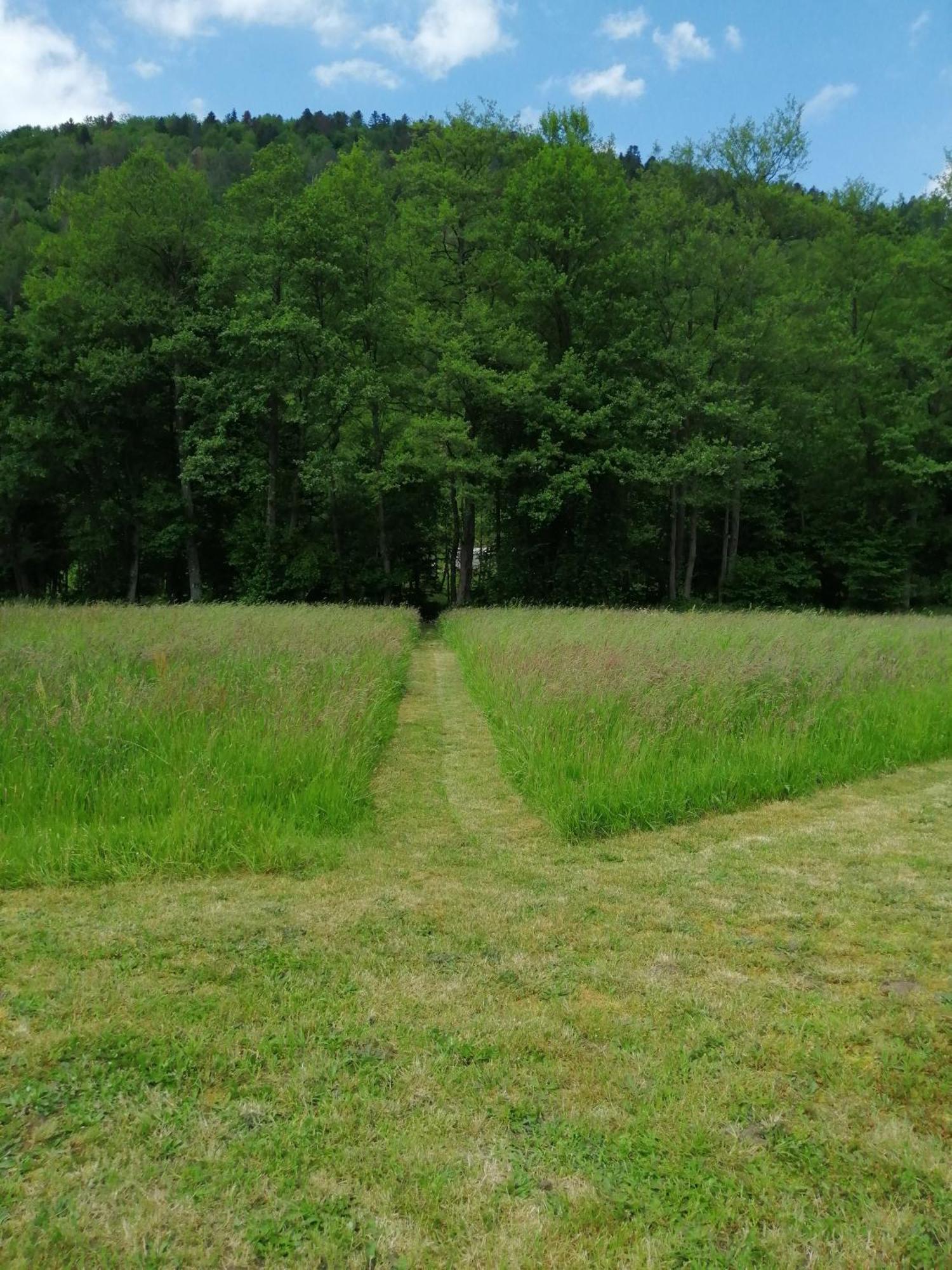 La Nature Sapois  Exteriér fotografie